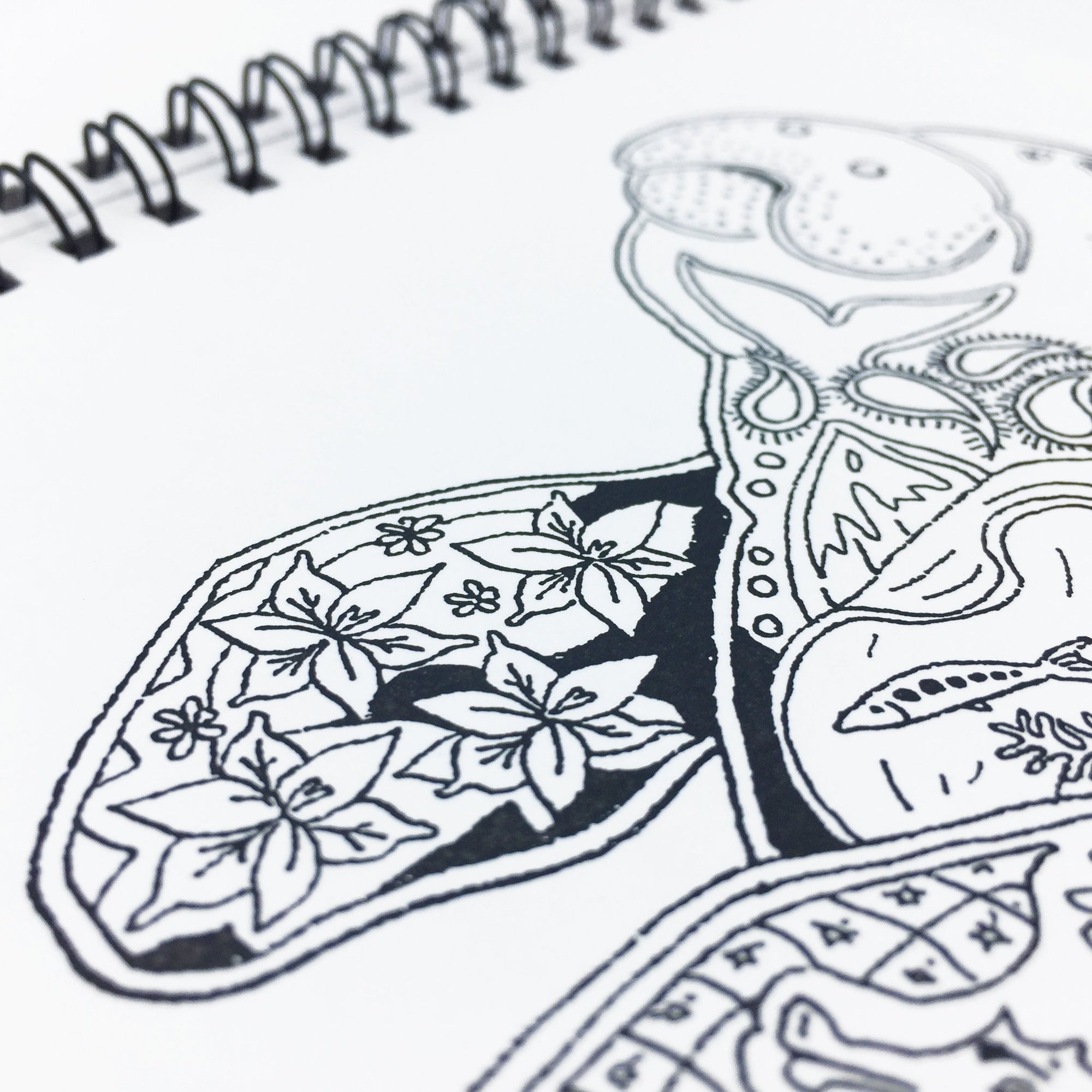 Sea Critters Coloring Book