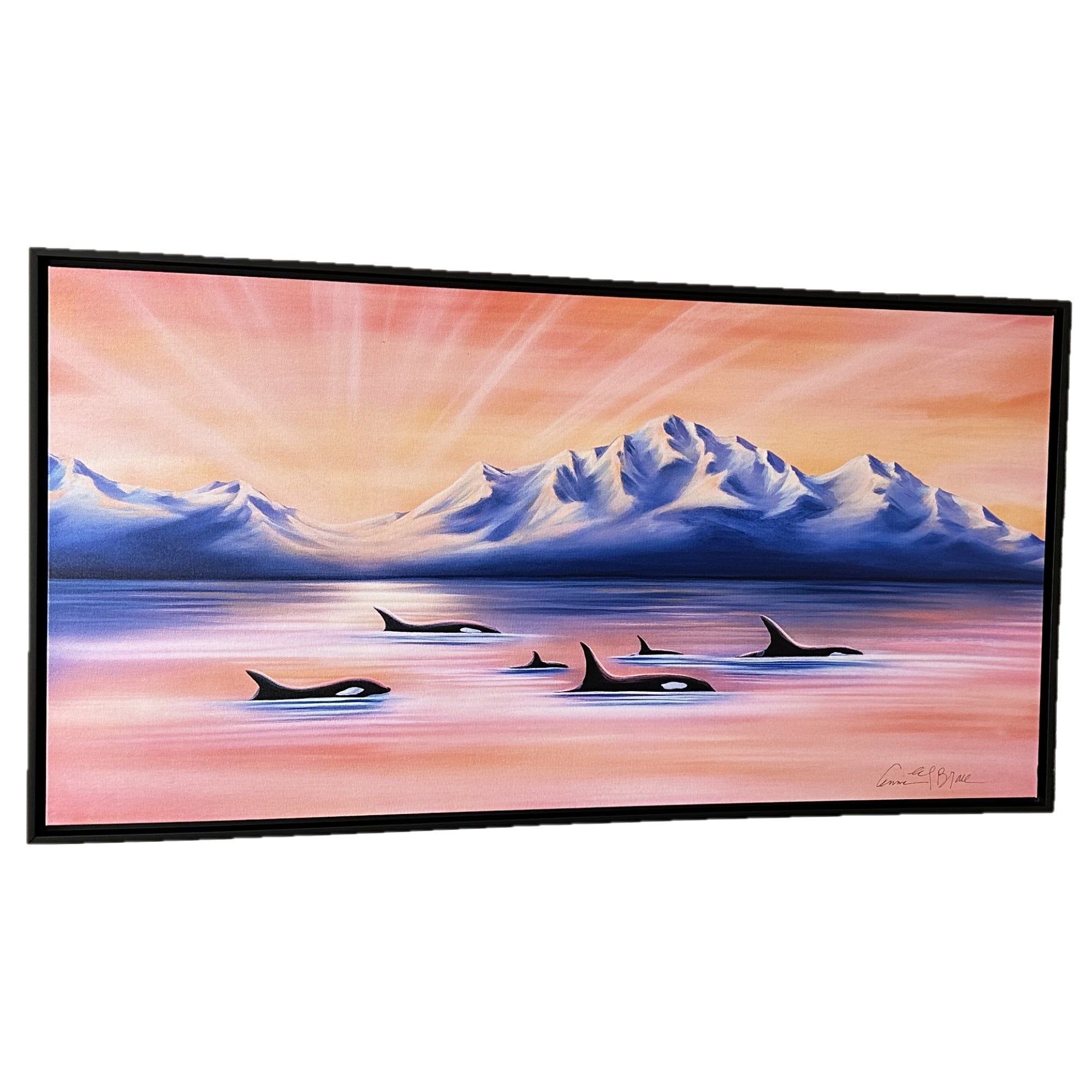 Orca Echo Lines Framed Canvas Print