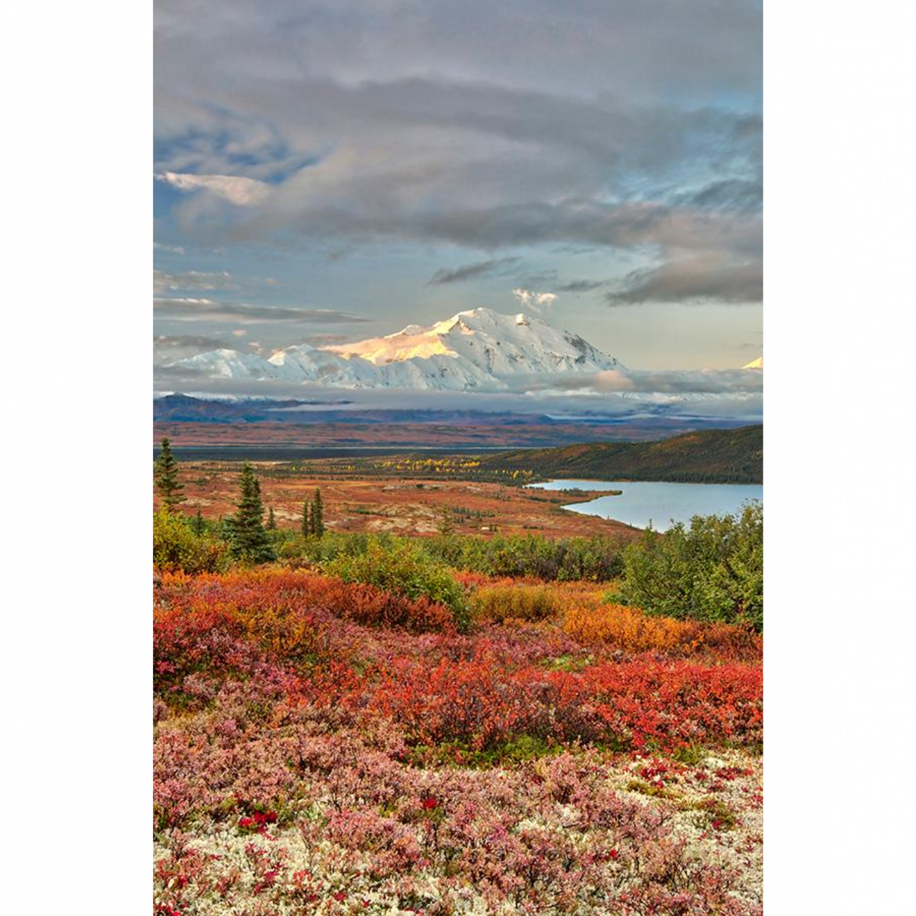 Denali Overture - Metal Print