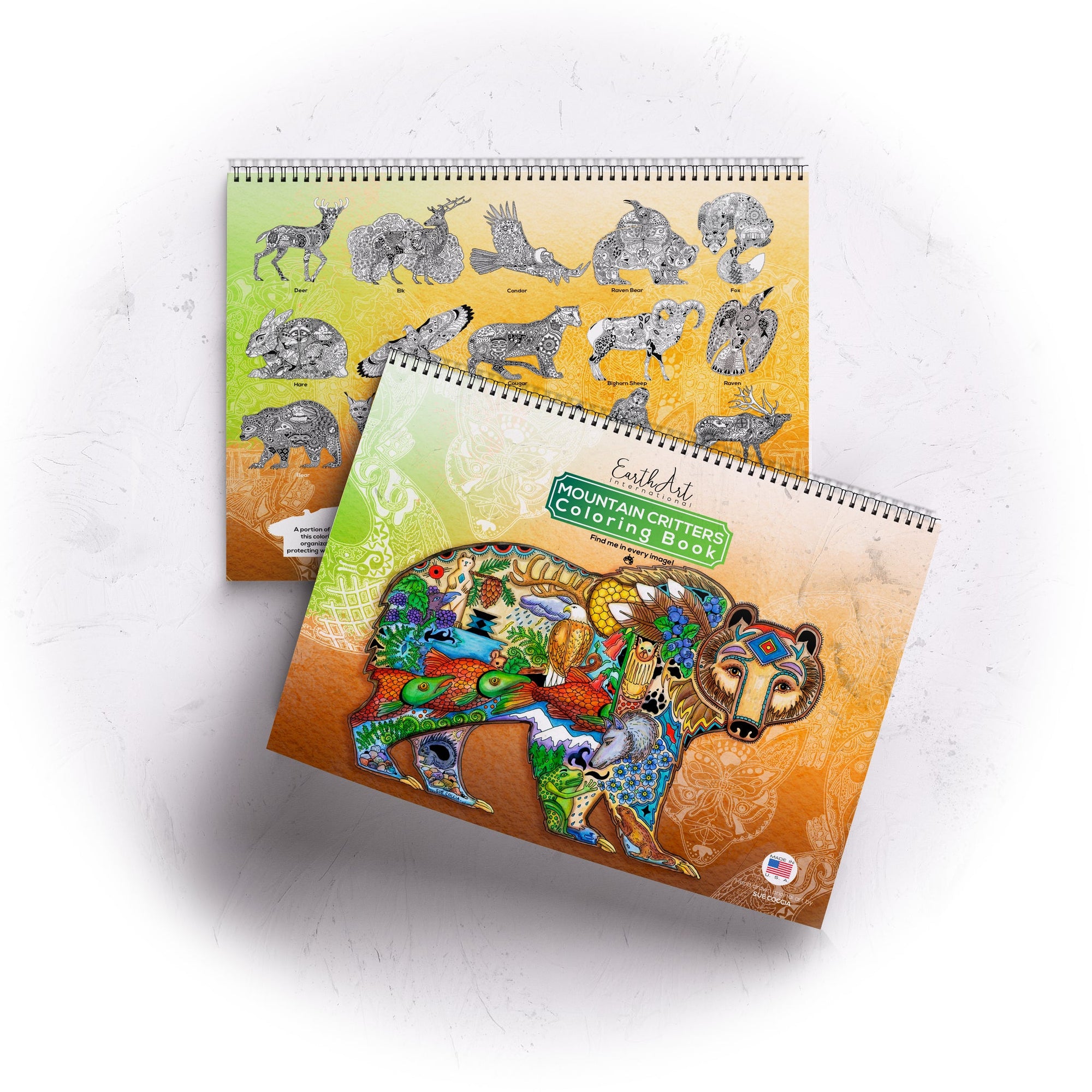 Mountain Critters Bear Coloring Book