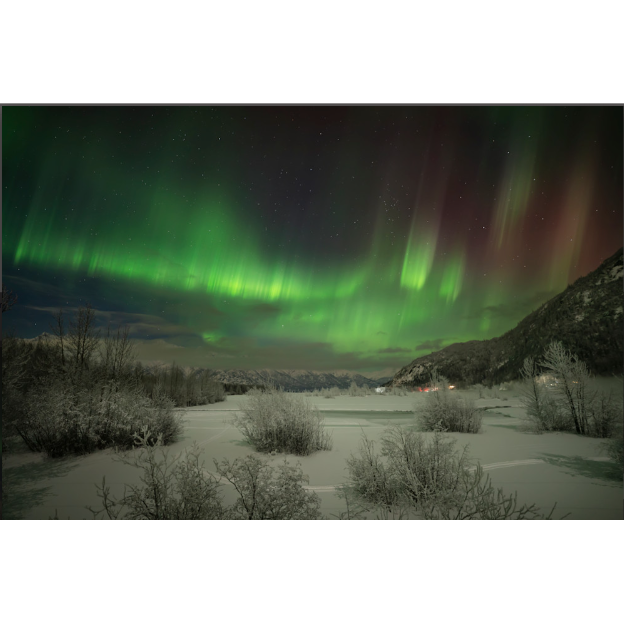 Aurora Frost - Matted Print