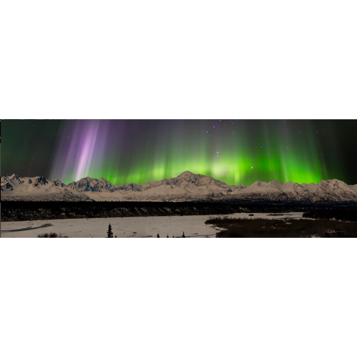Denali Capture - Metal Print