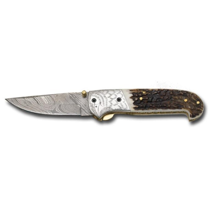 Damascus Eagle Folder with Stag