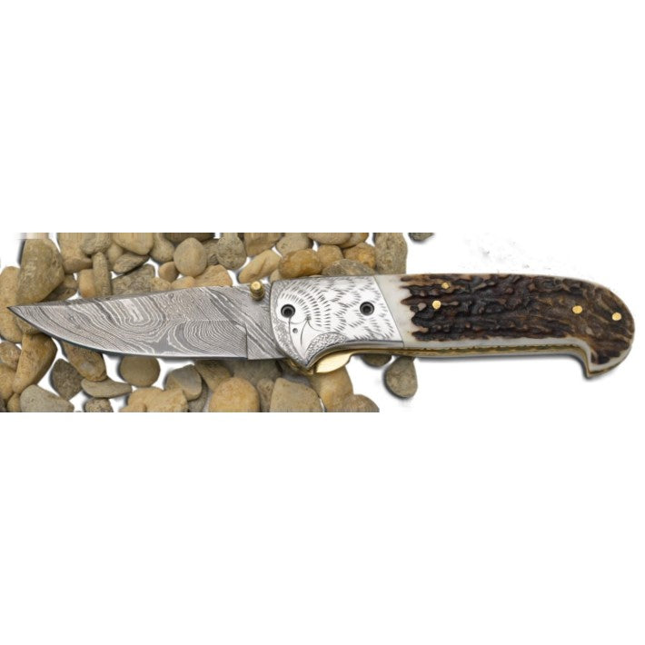 Damascus Folder with Stag Horn