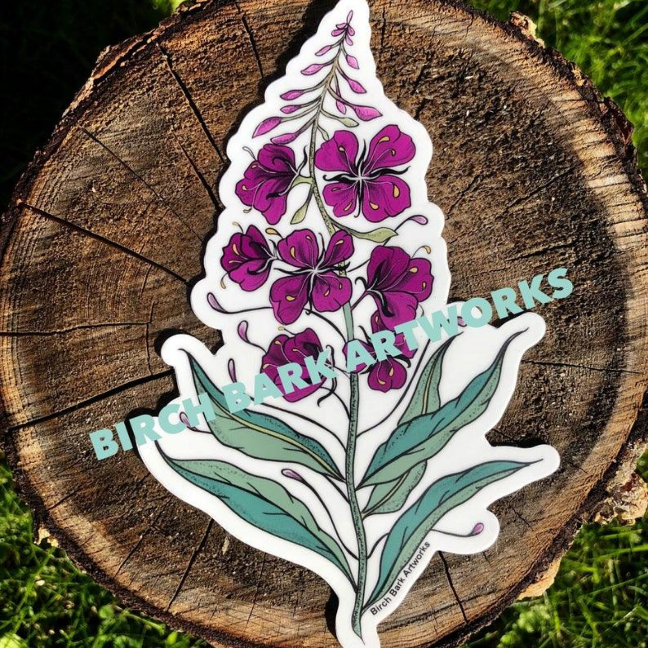 Fireweed Sticker