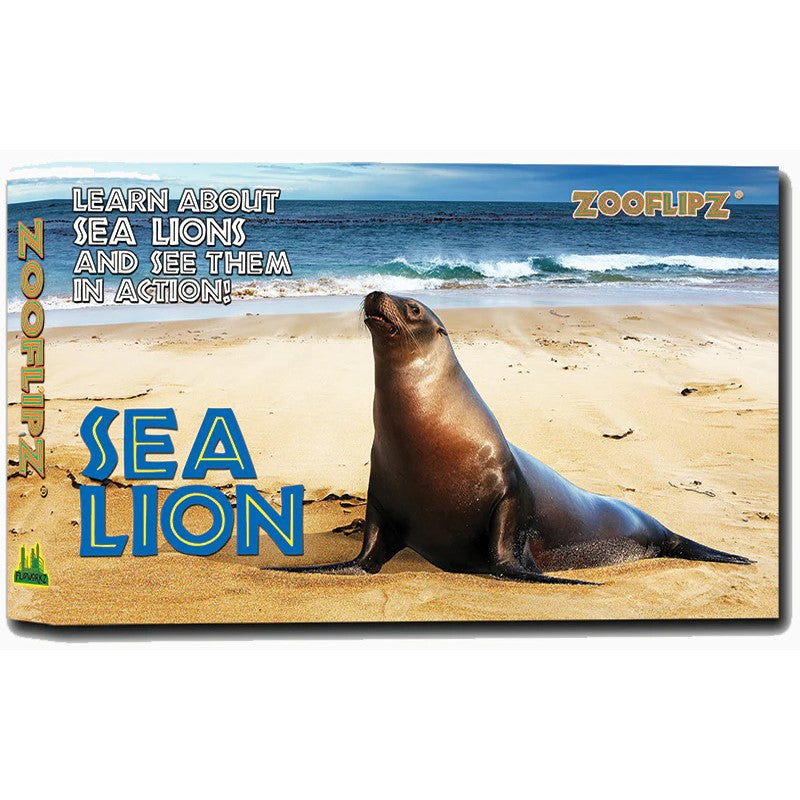 Sea Lion Flipbook