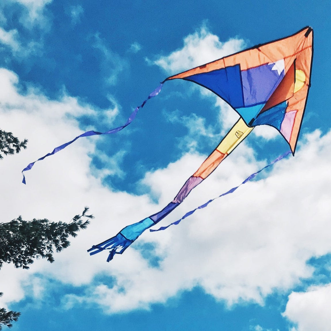 Freestyle Delta Kite
