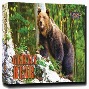 Grizzly Bear Flipbook