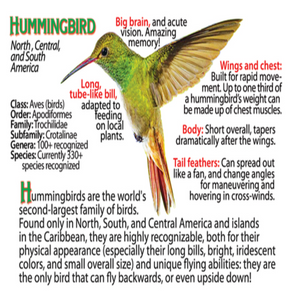 Hummingbird Flipbook