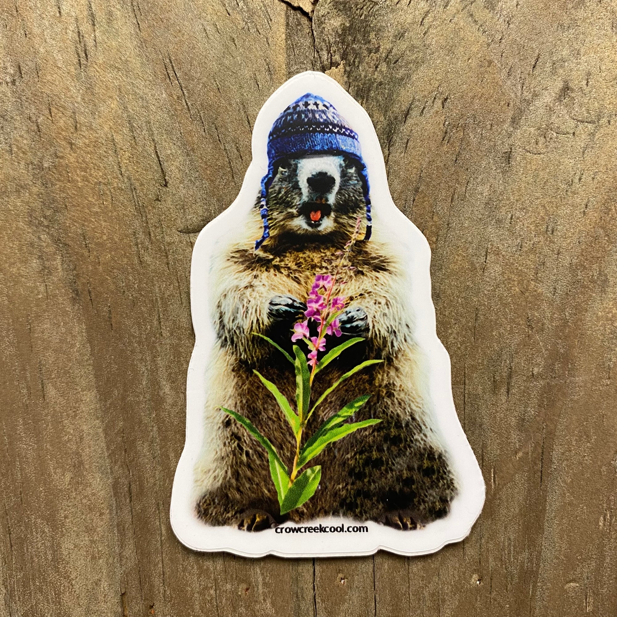 Wooly Marmot Fireweed Sticker