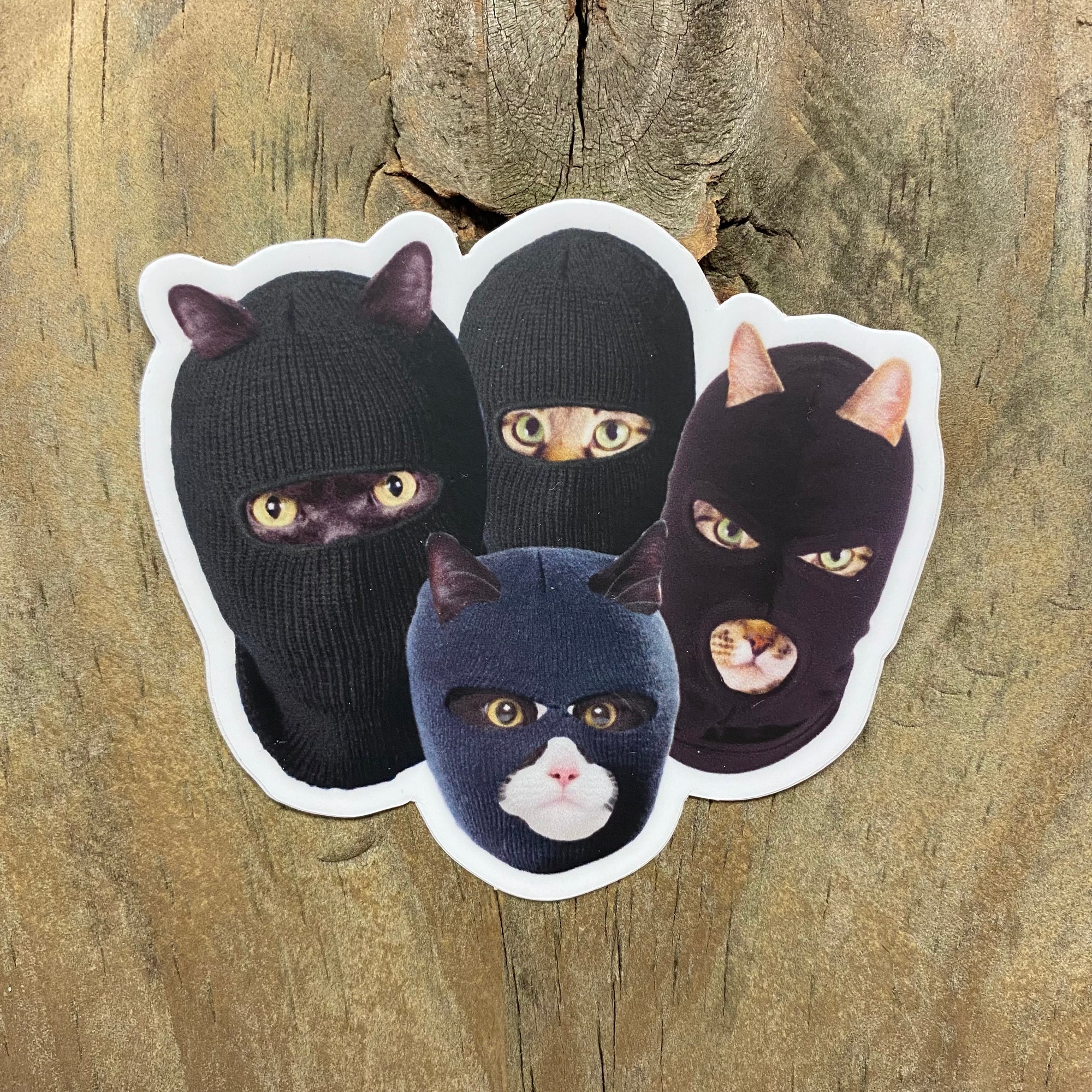 Cats Stickers