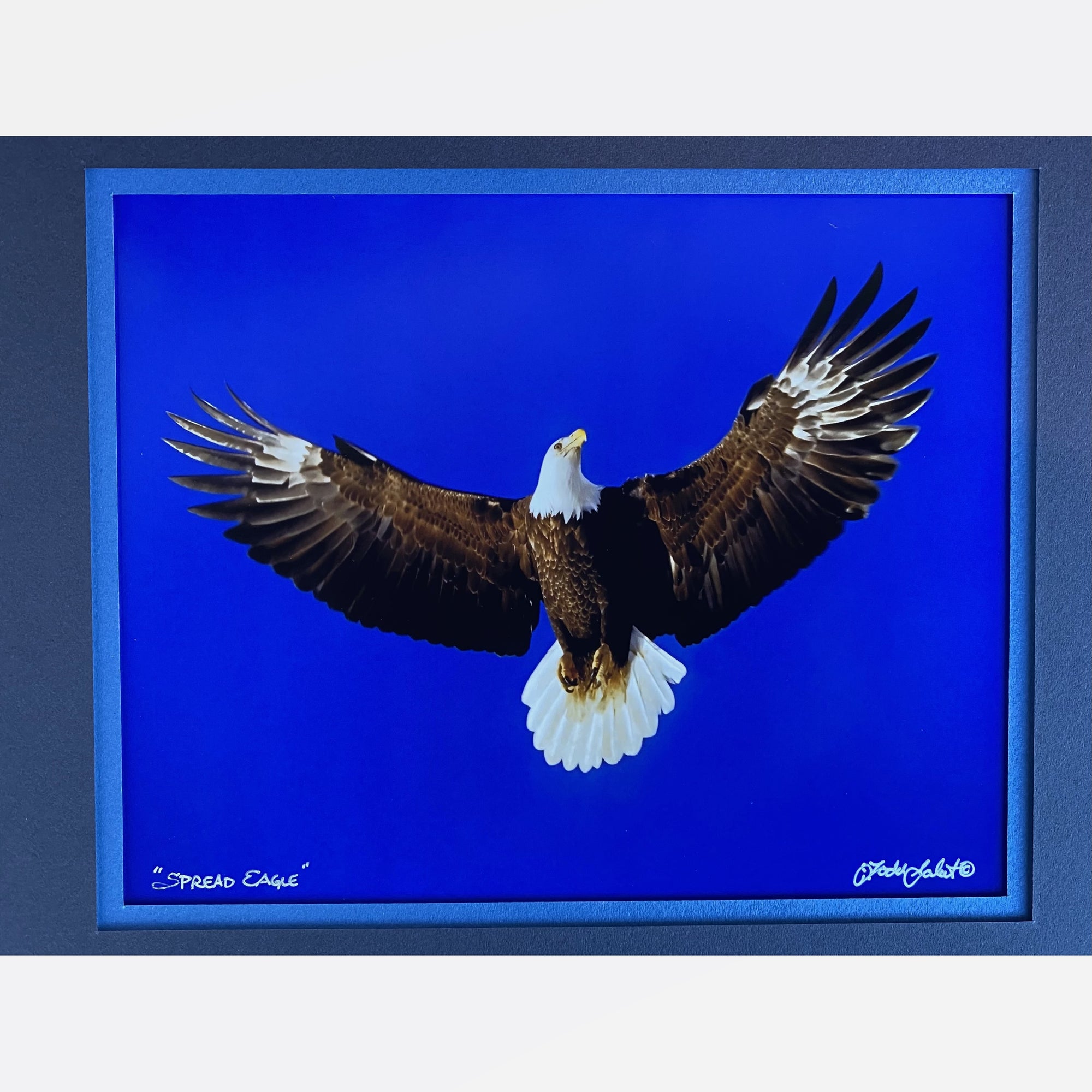 Spread Eagle - Double Matted Print