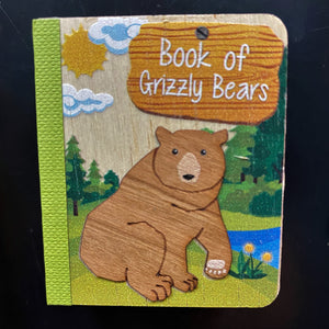 Book Magnets
