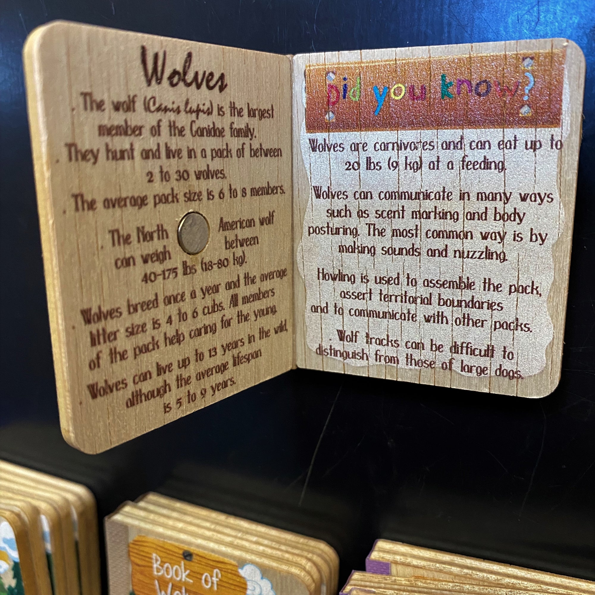 Book Magnets