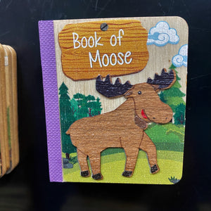 Book Magnets