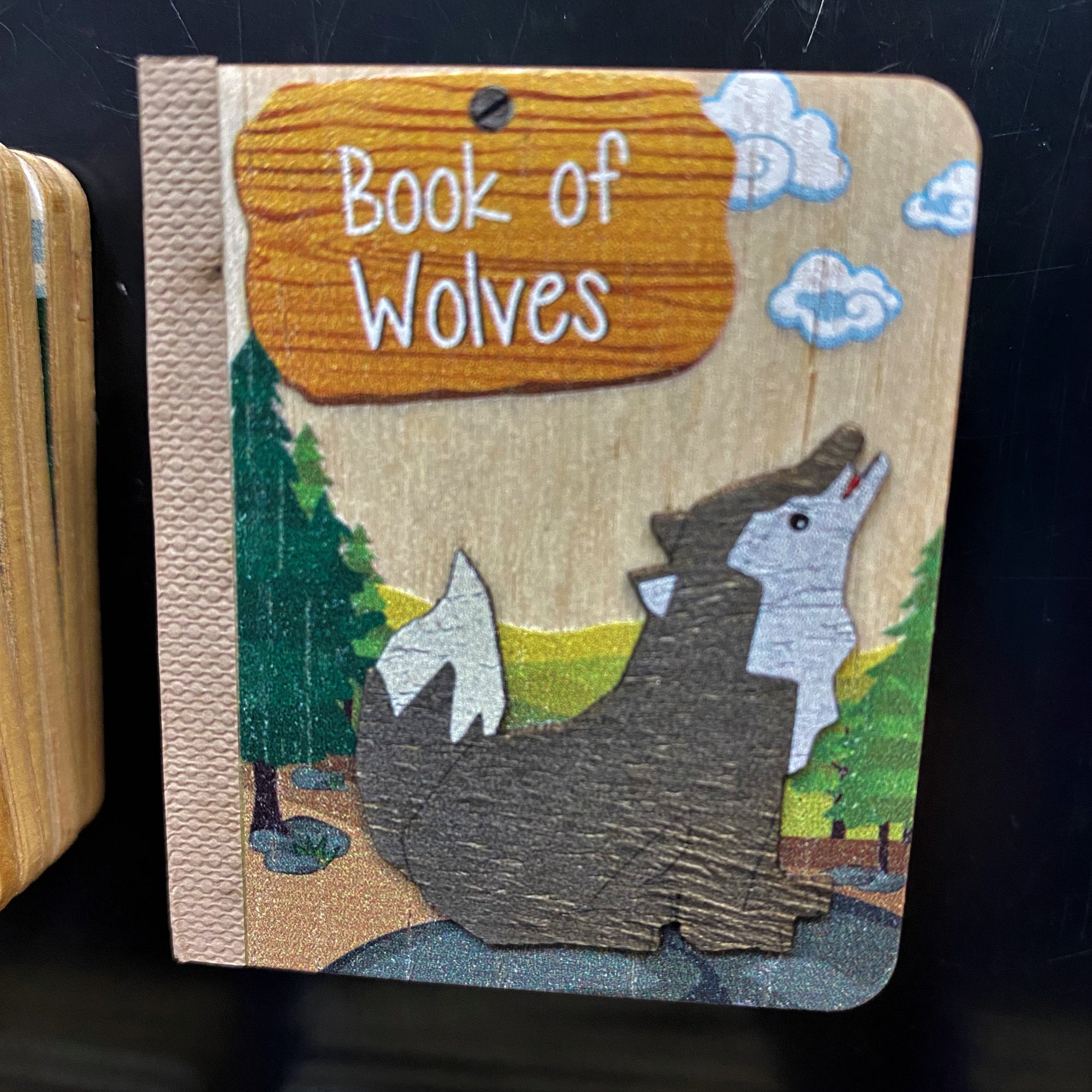 Book Magnets