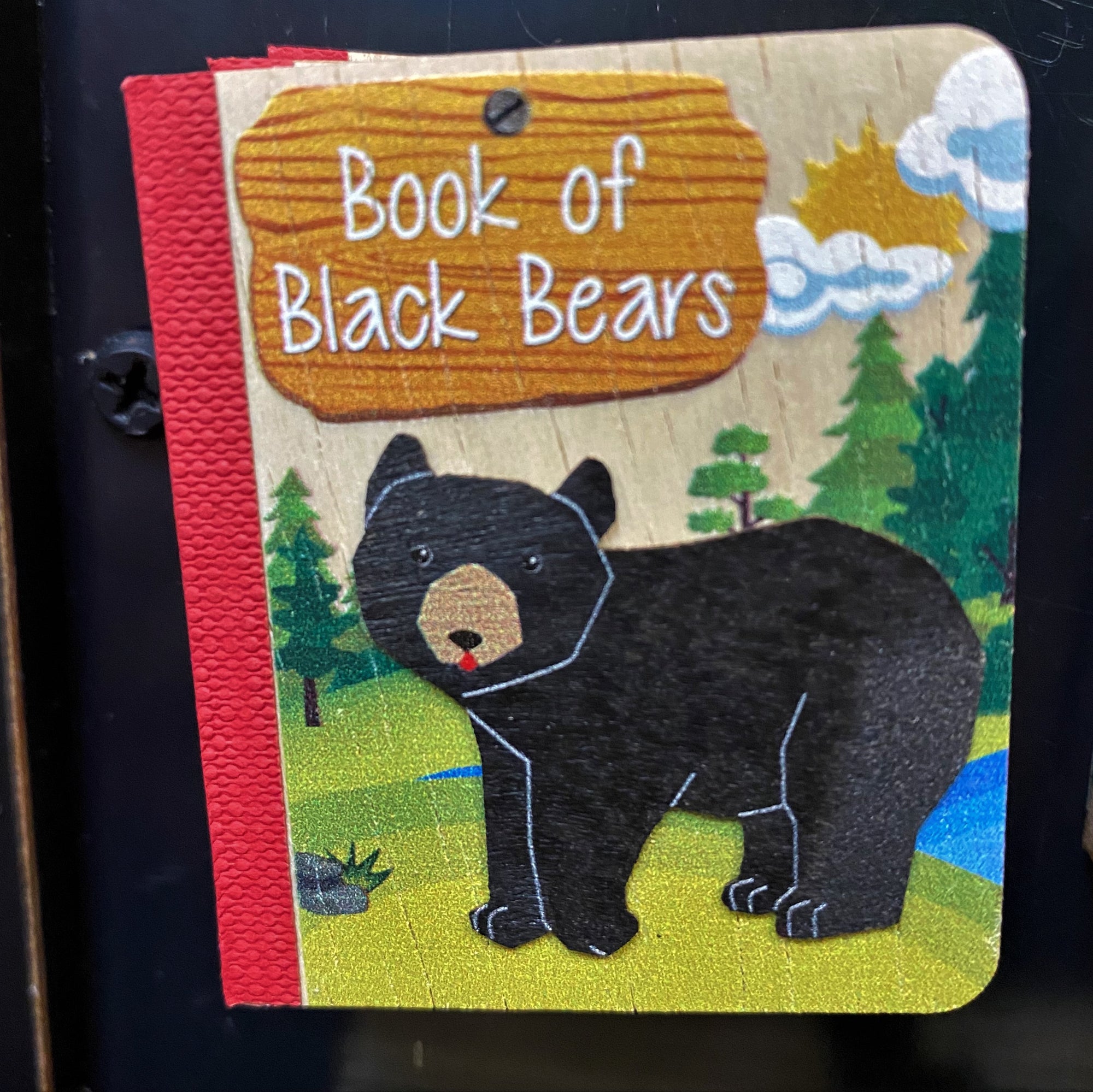 Book Magnets