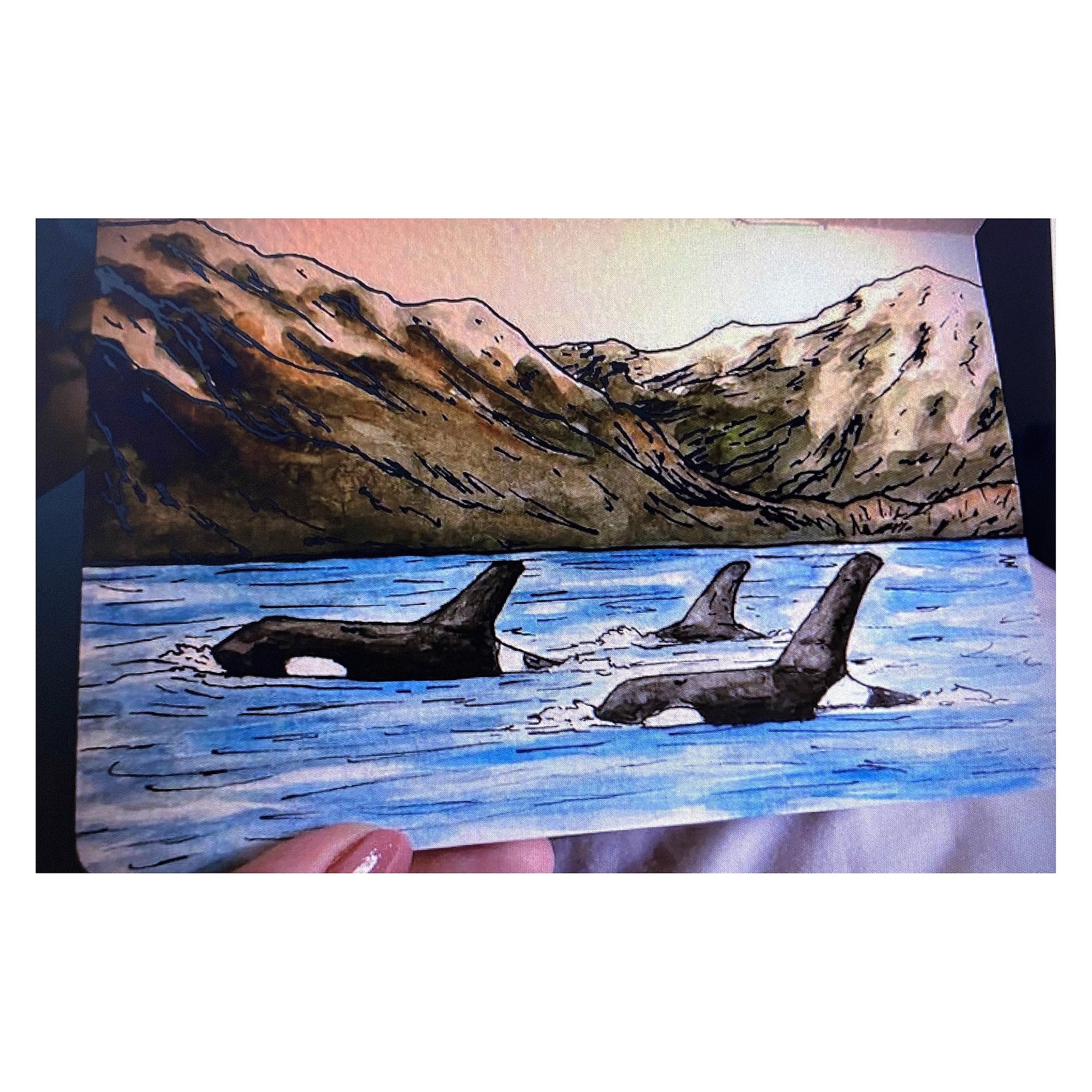 Orca Pod - Art Print