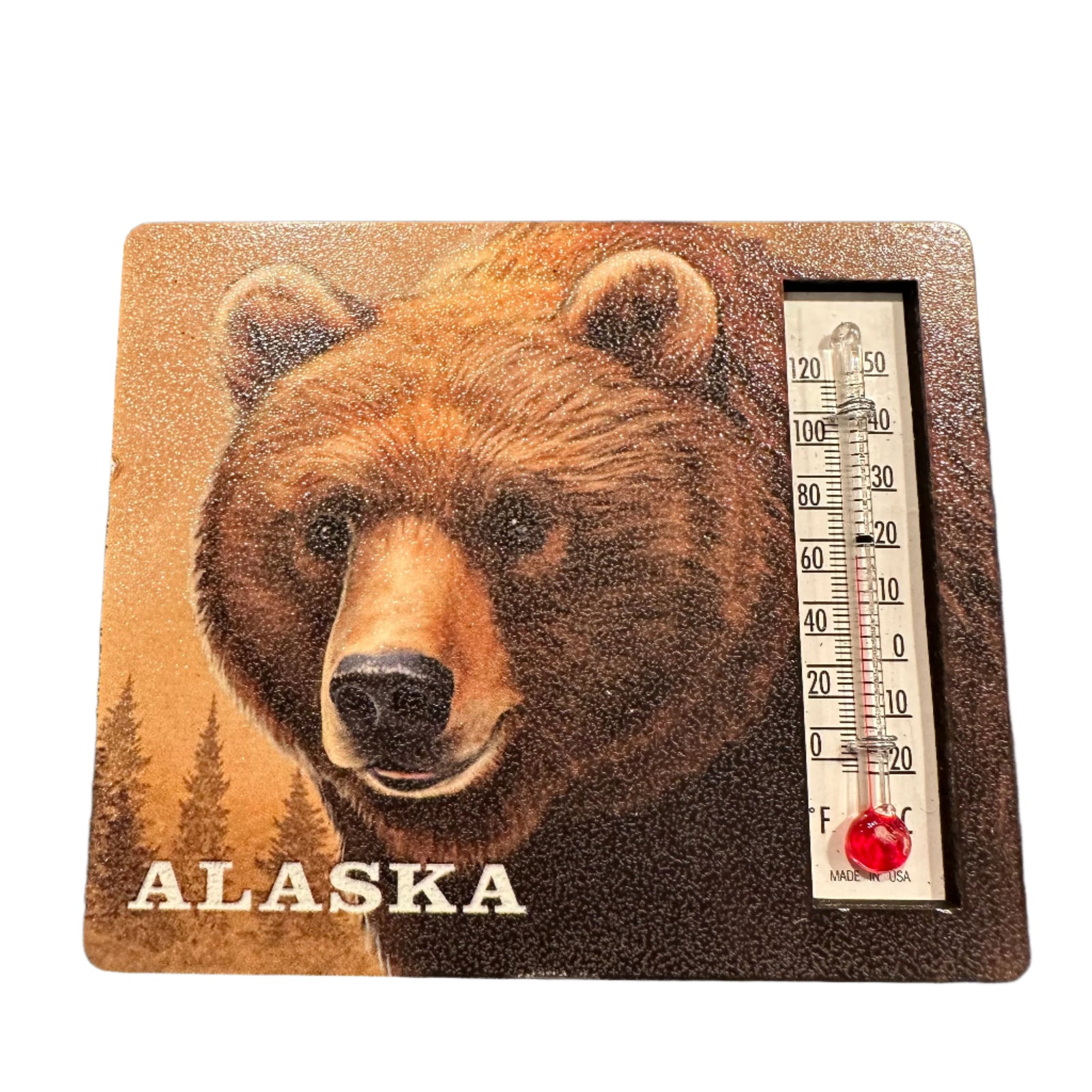 Grizzly Portrait Thermometer