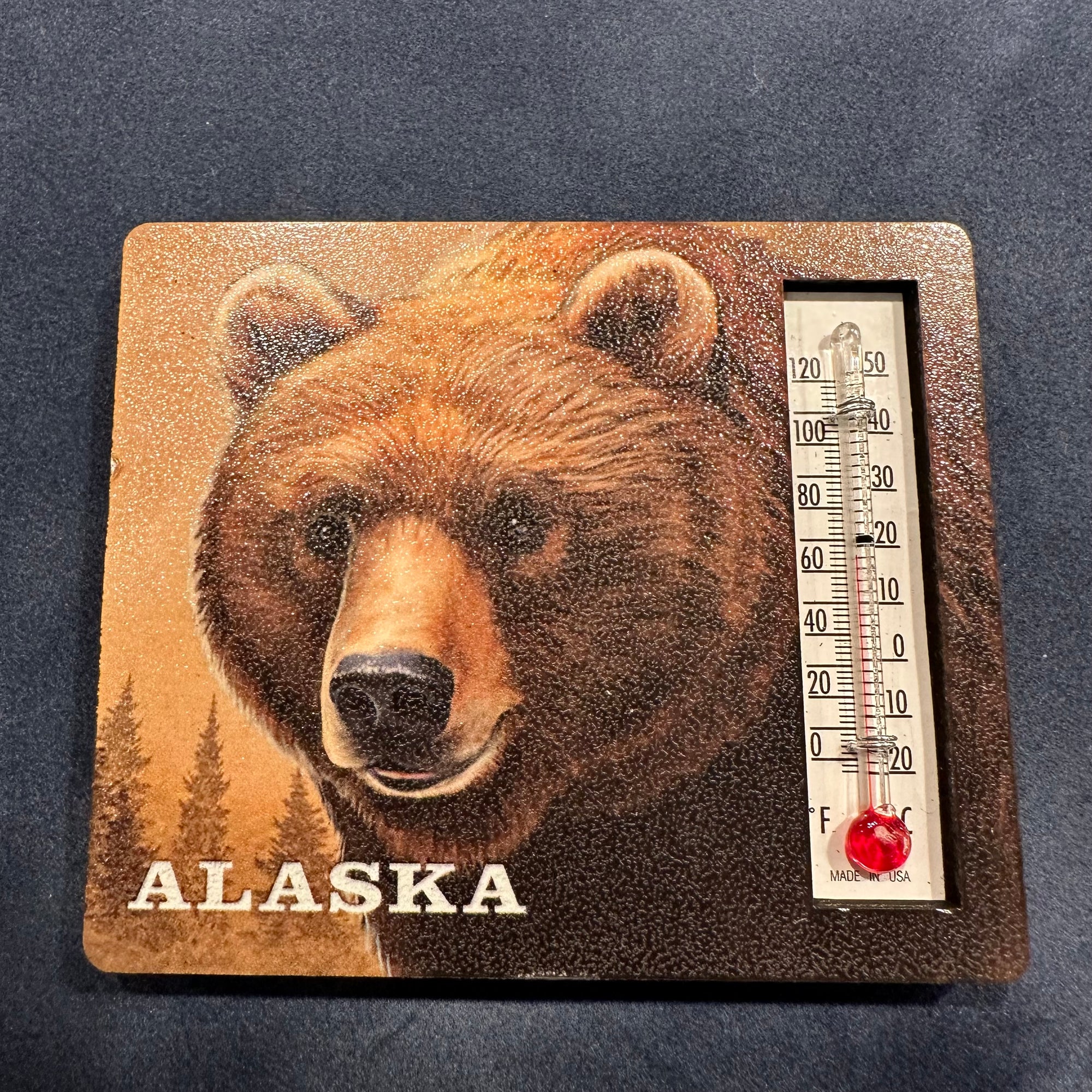 Grizzly Portrait Thermometer