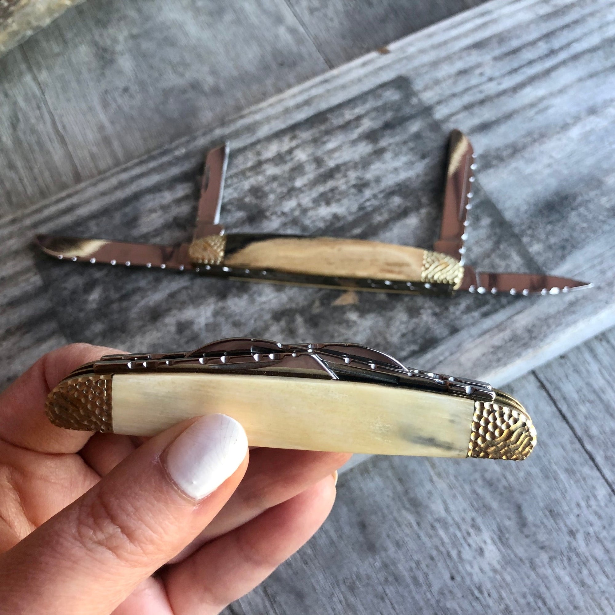Mammoth Ivory with Textured Metal Four Blade Gents Knife By Ursa