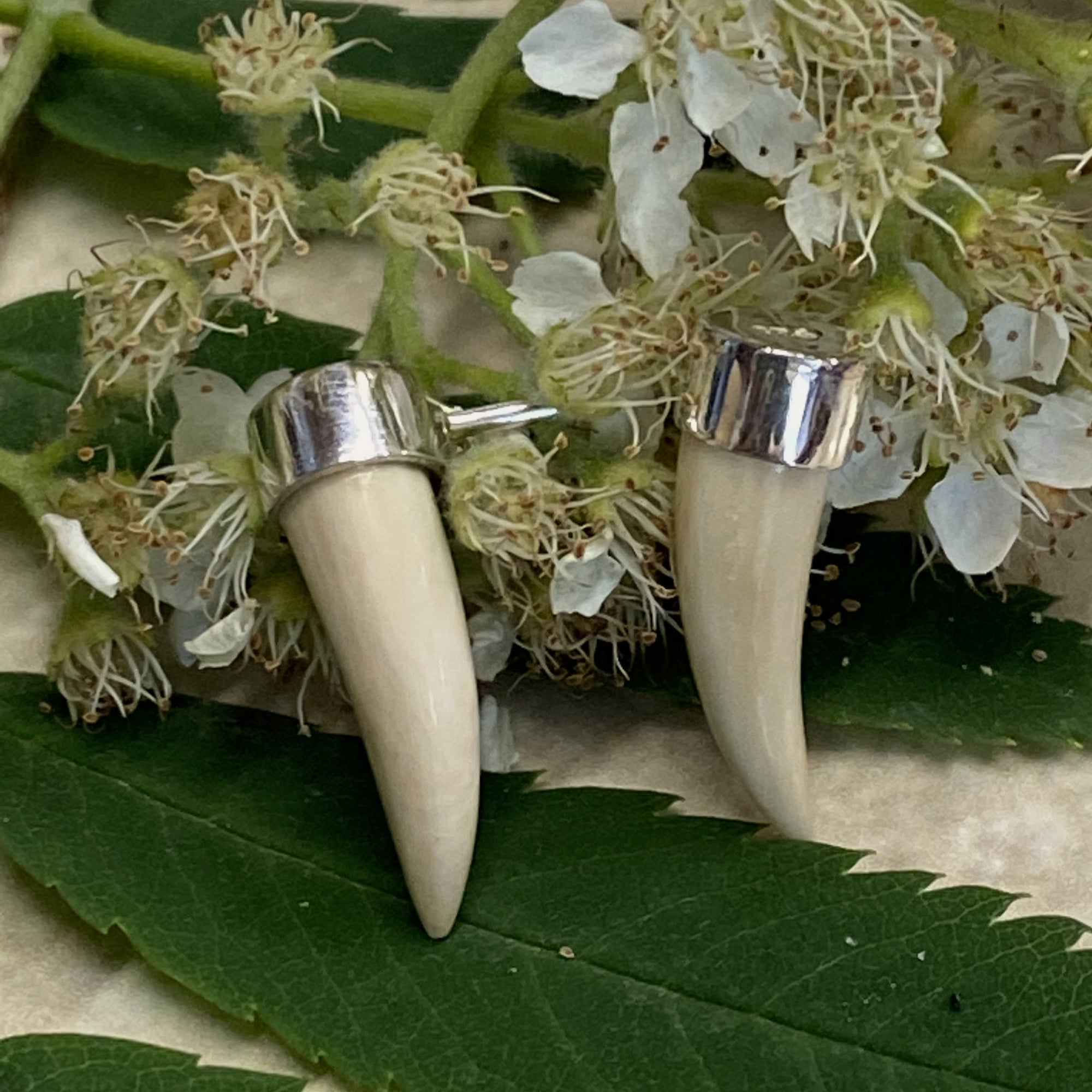 Mini Tusk Earrings