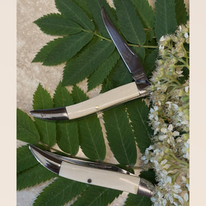 Toothpick Mammoth Ivory Pocket Knife