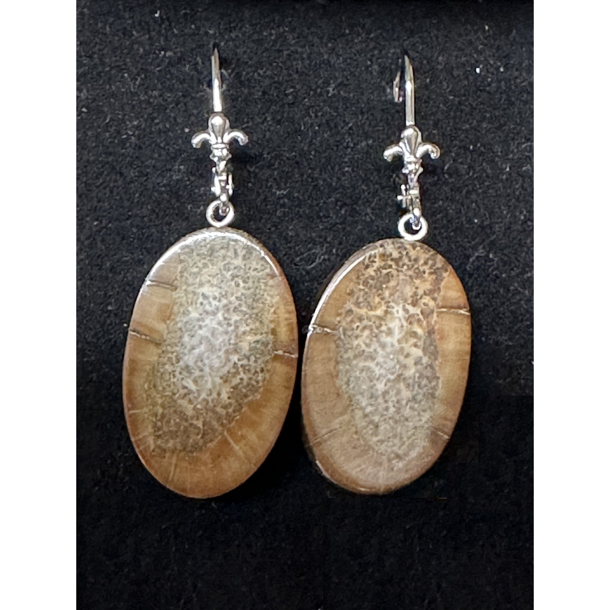 Premium Fossil Walrus Ivory Slice Earrings