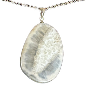 Premium Fossil Walrus Ivory Slice Pendant Gold