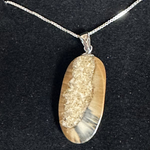 Premium Fossil Walrus Ivory Slice Pendant