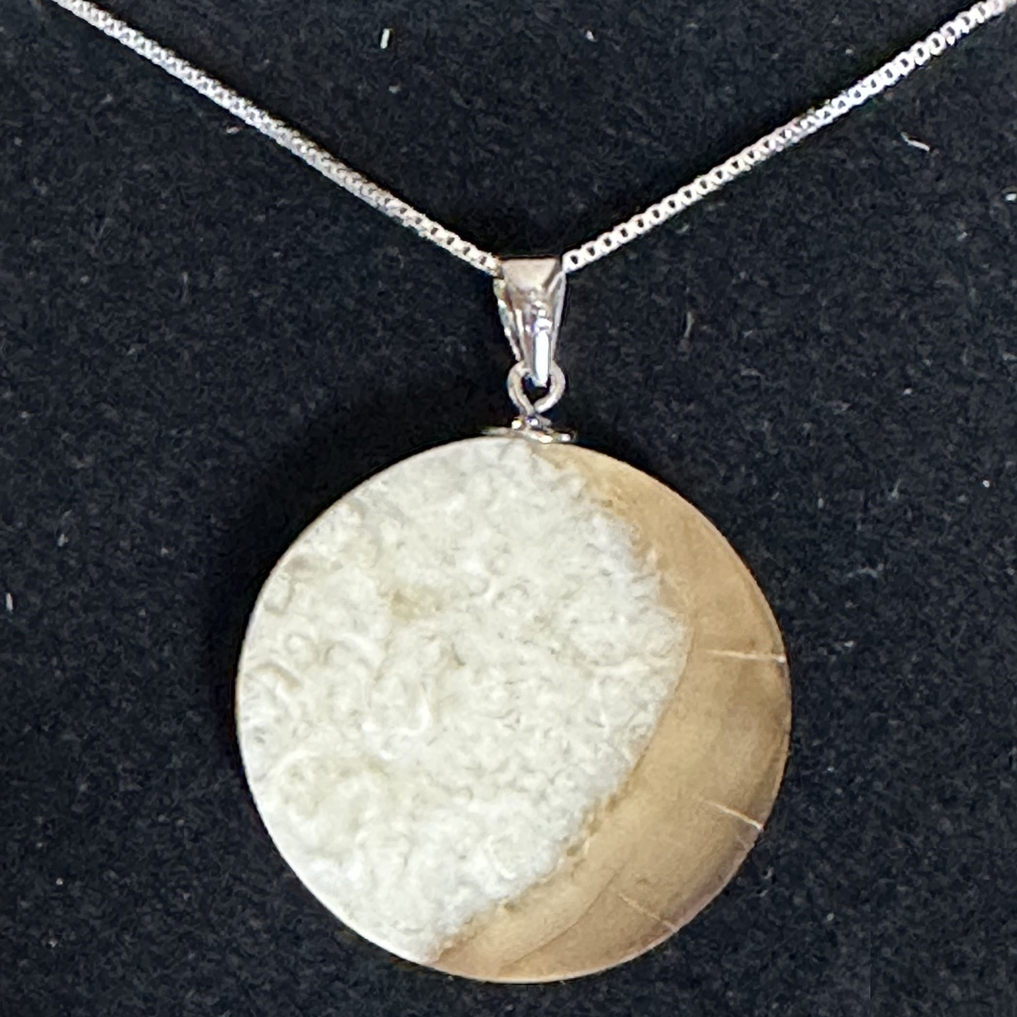 Premium Fossil Walrus Ivory Slice Pendant Forests Tides and