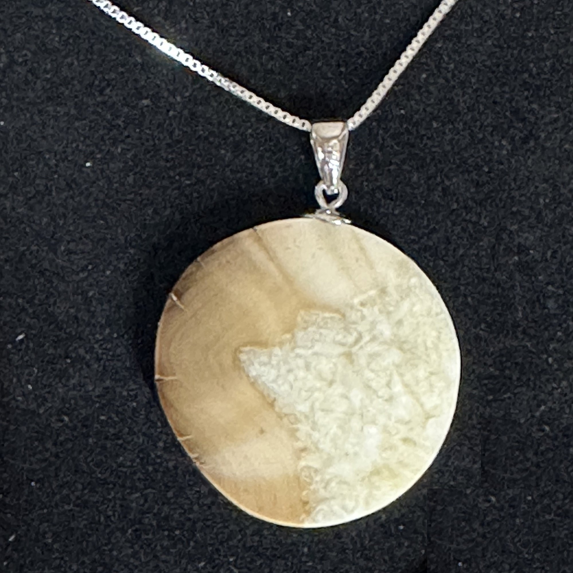 Premium Fossil Walrus Ivory Slice Pendant