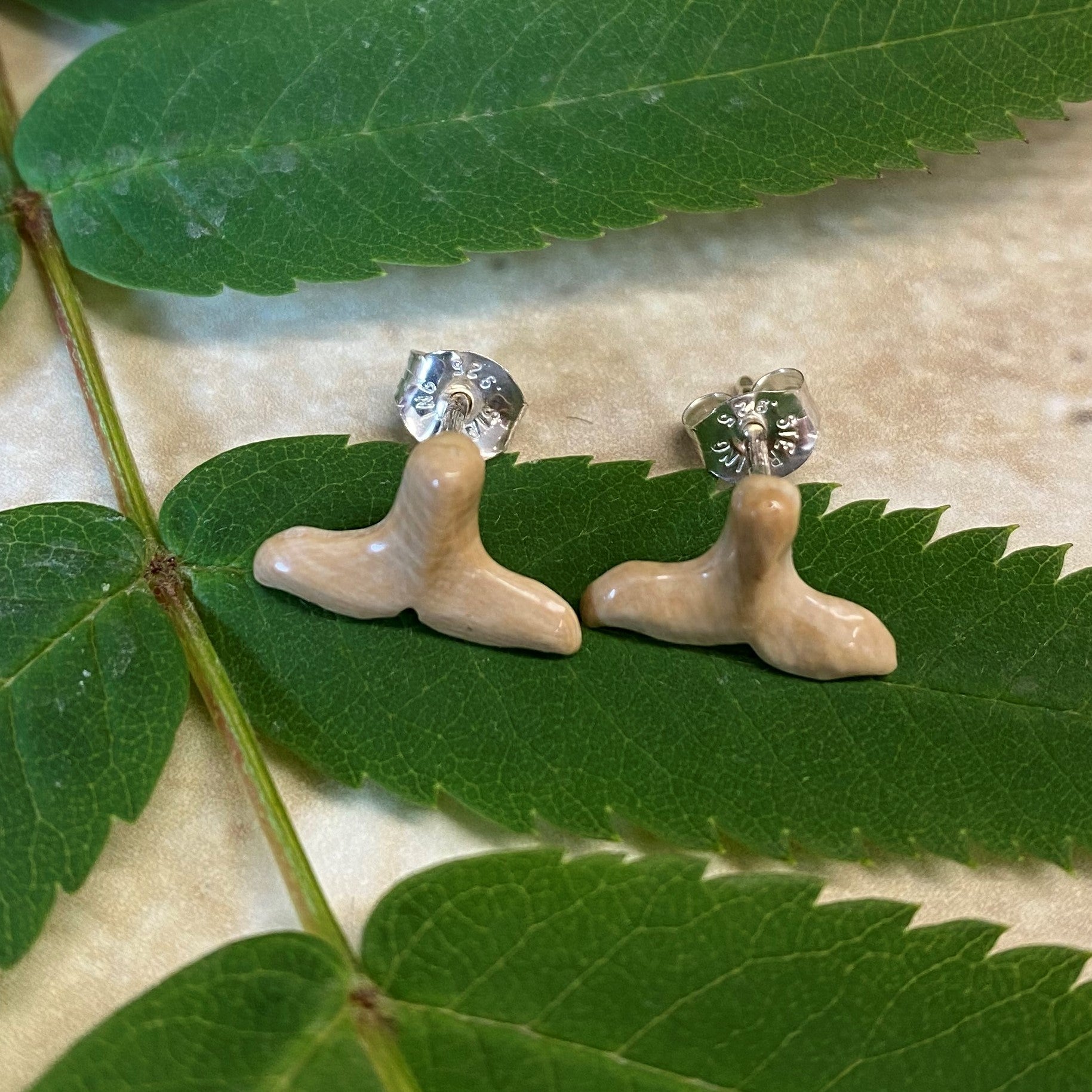 Whale Tail Mammoth Ivory Post Earrings