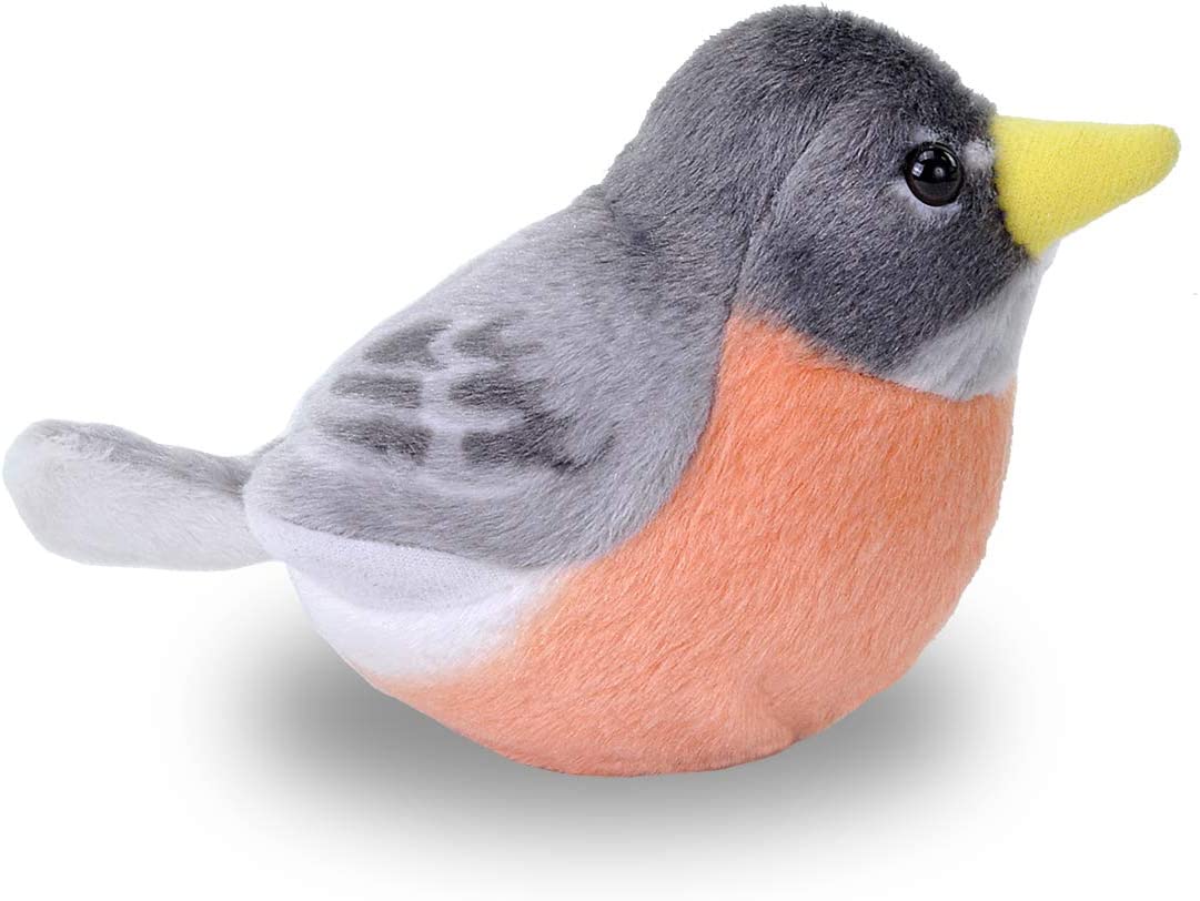 American Robin Audubon Birds Forests Tides and Treasures
