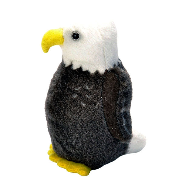 Bald Eagle Audubon Birds