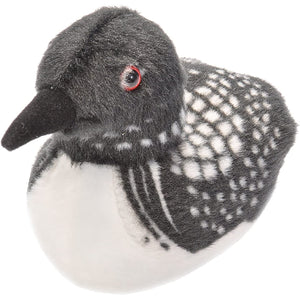 Common Loon Audubon Birds