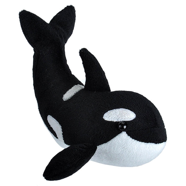 Wild Calls Orca