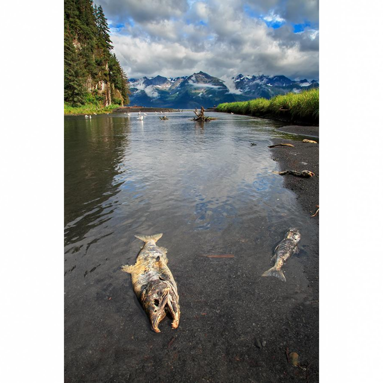 Last Run - Metal Print