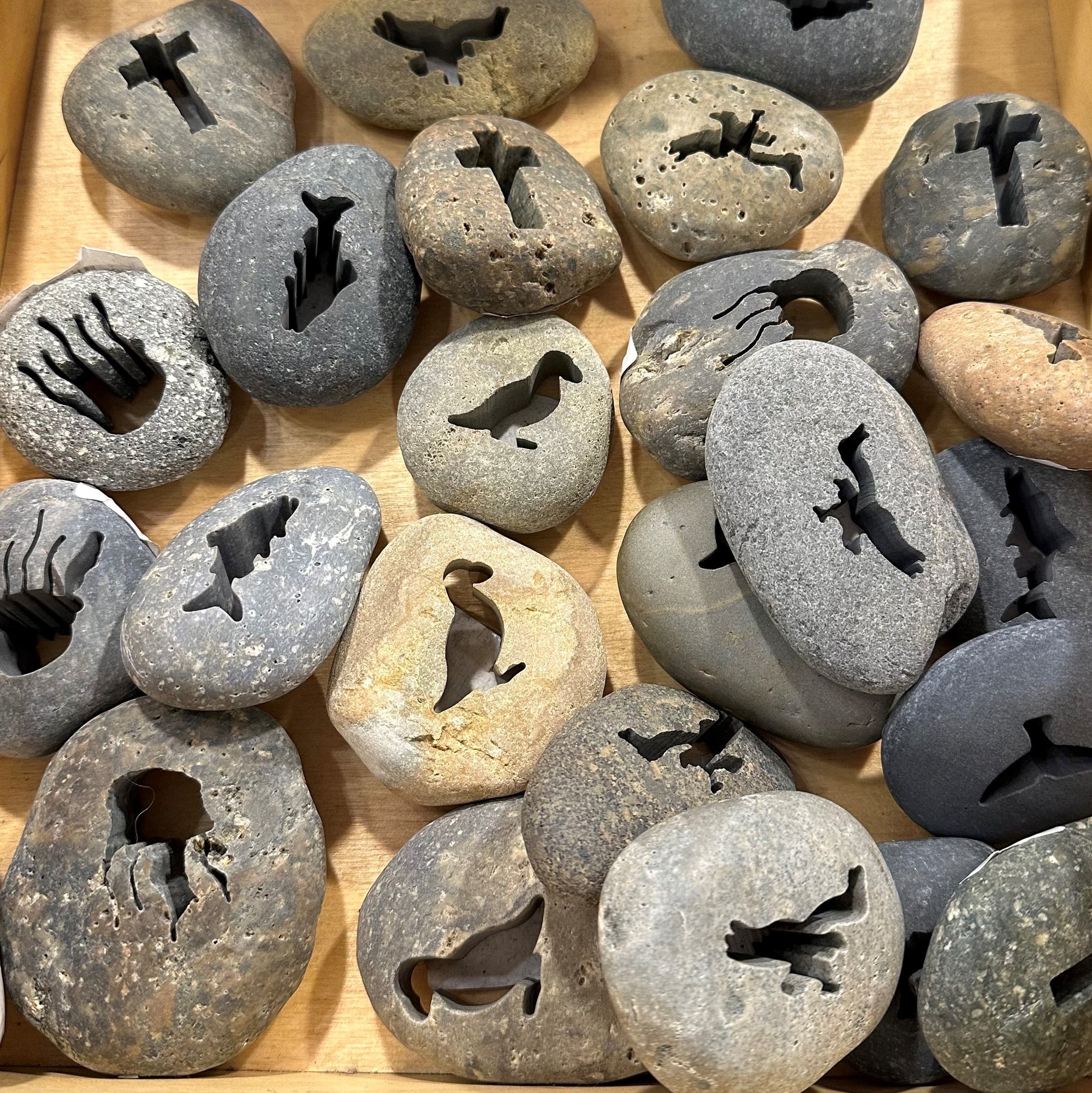 EKO Assorted Rocks