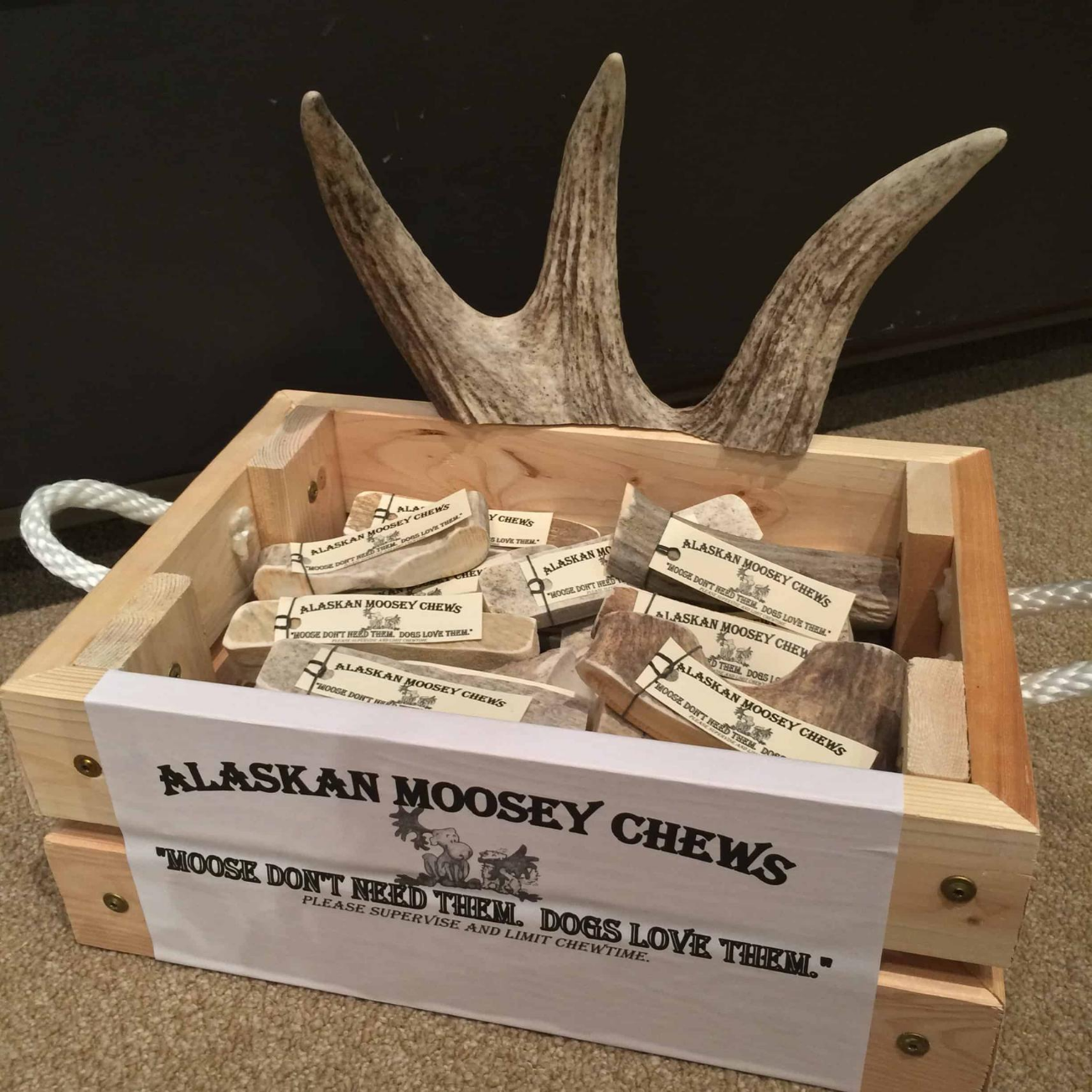 Moose Antler Dog Chews