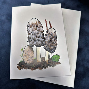 Shaggy Mane Notecard