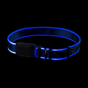 Nite Dog Rechargeable LED Collar