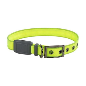 Nite Dog Rechargeable LED Collar