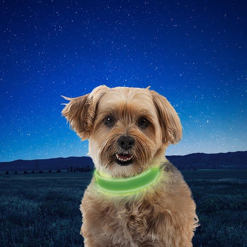 Nite Dog Rechargeable LED Collar