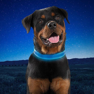 Nite Dog Rechargeable LED Collar