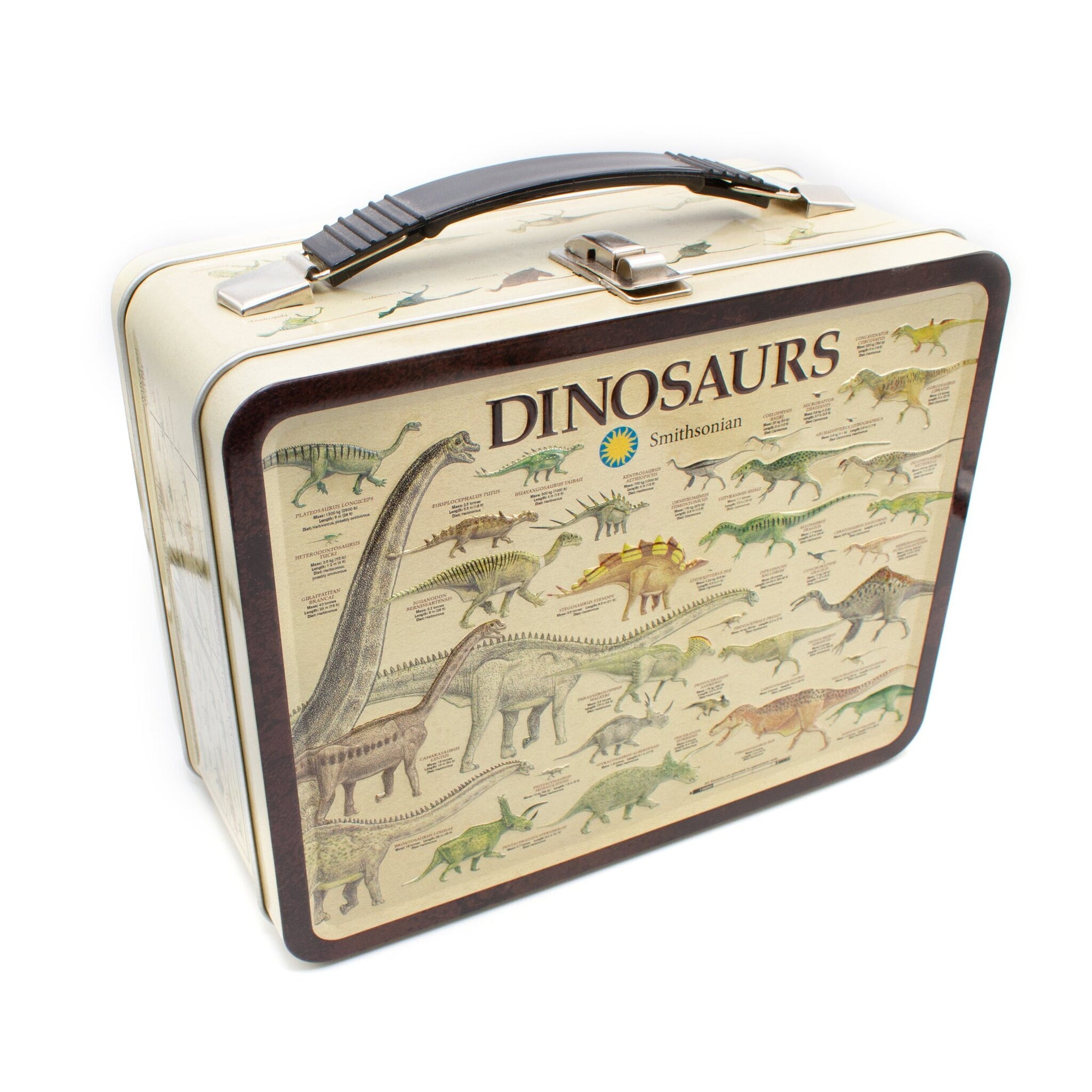 Smithsonian Dinosaurs Large Fun Box