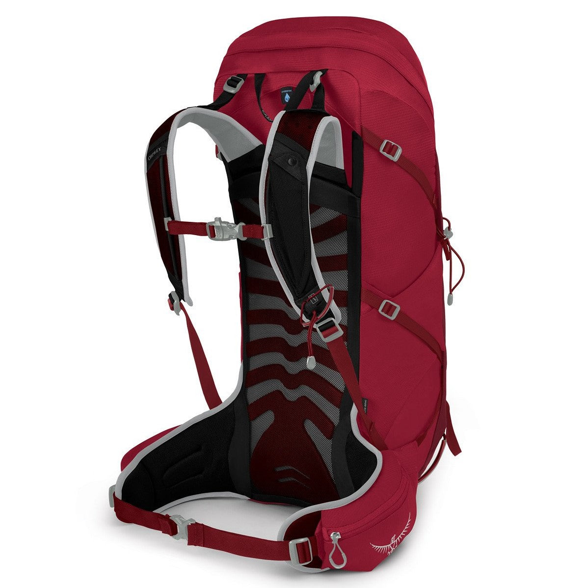 Talon 36L Pack