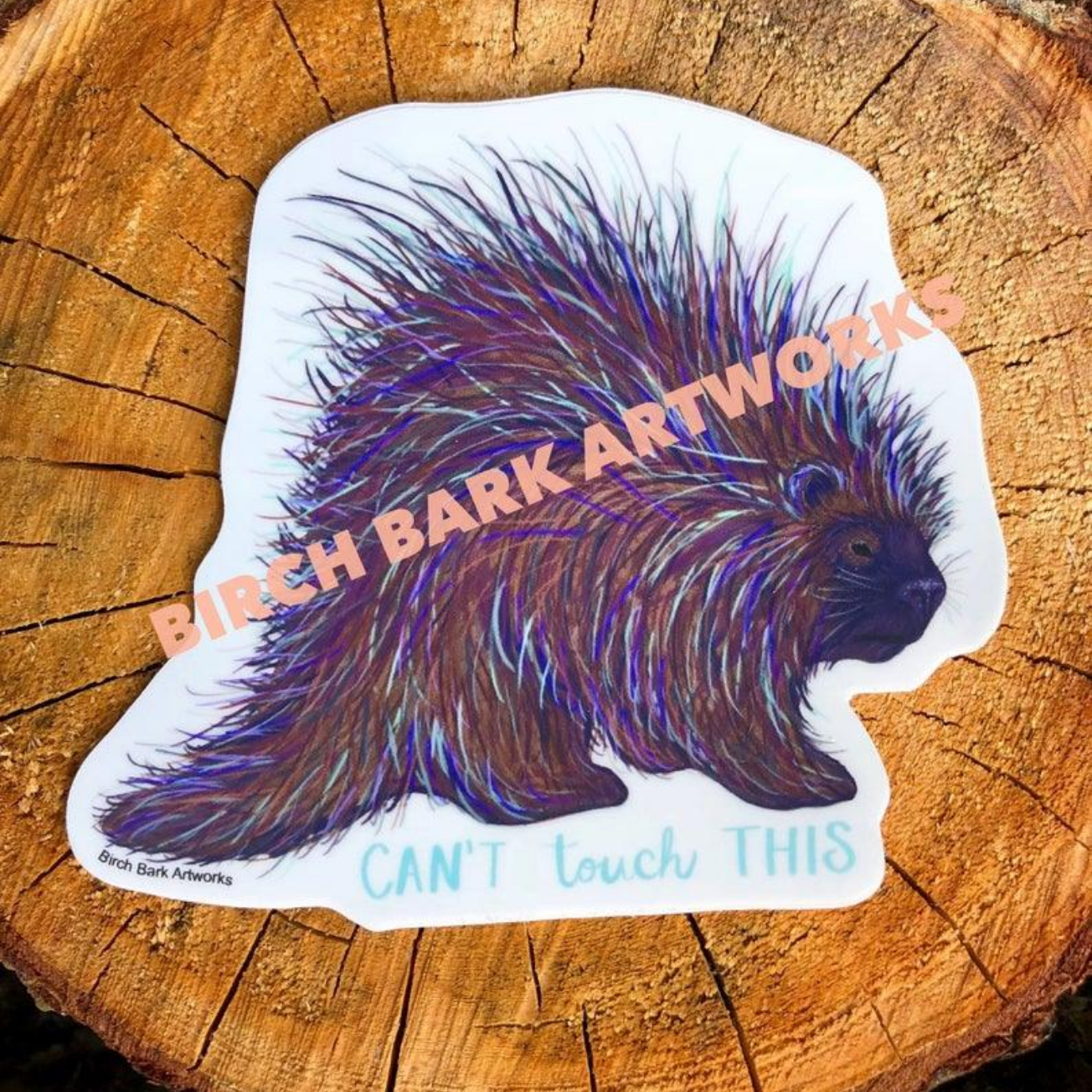 Porcupine Sticker