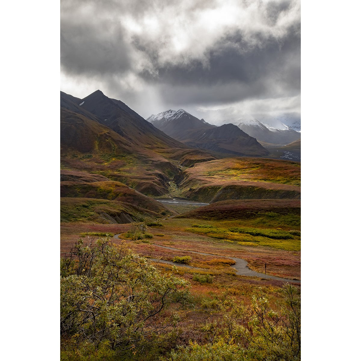 Paradise Ravine - Metal Print