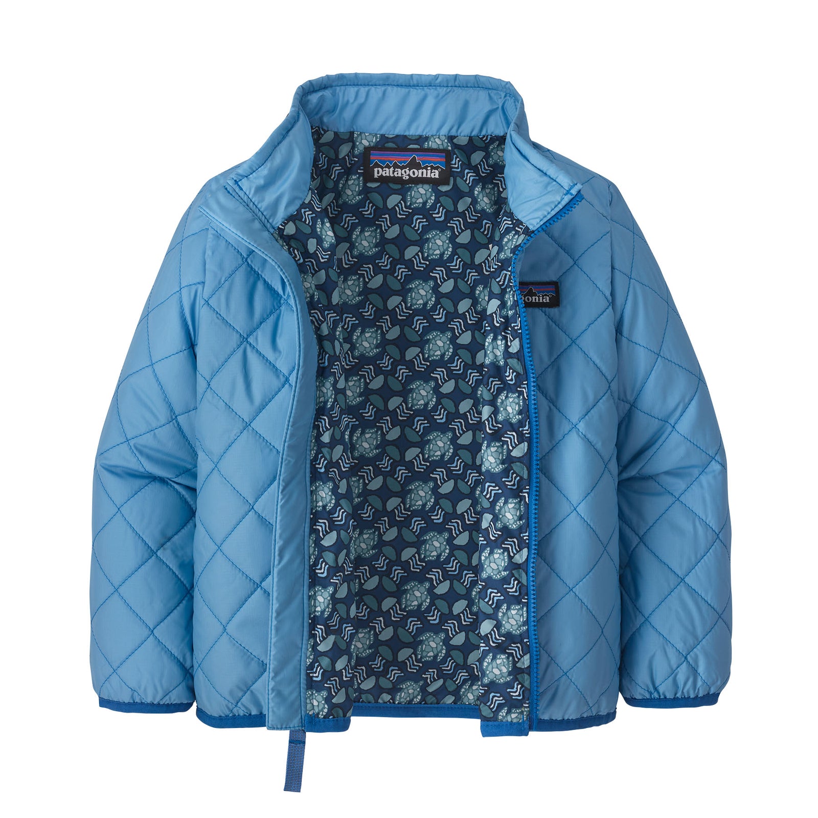 Patagonia - Forests, Tides, and Treasures